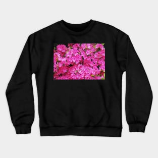 Pink Azalea Flowers Crewneck Sweatshirt